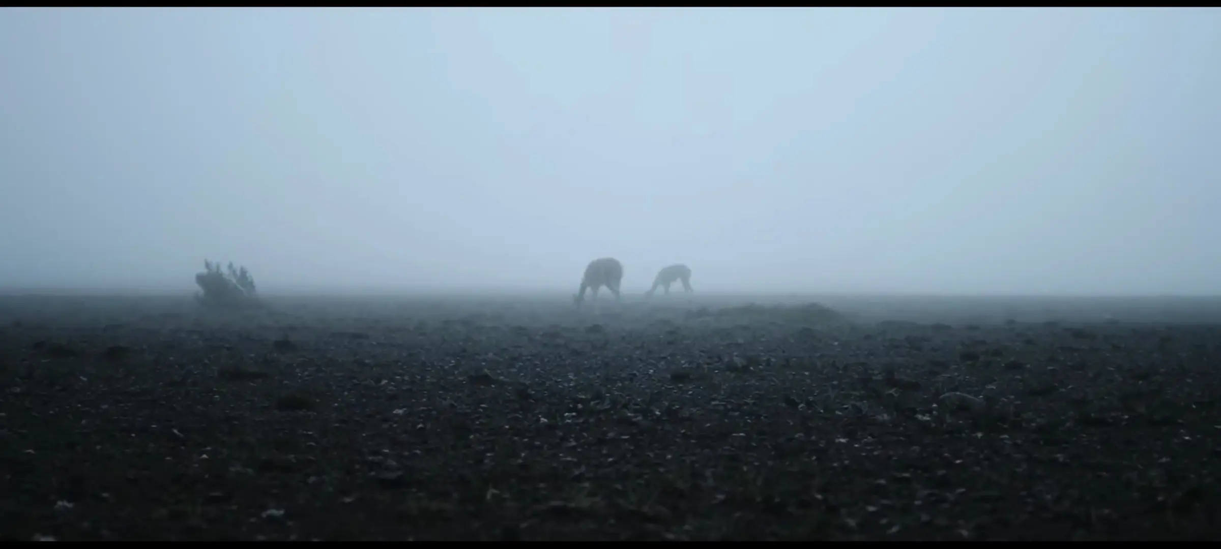 Frame del video en el minuto 0:05 - Vista previa del contenido